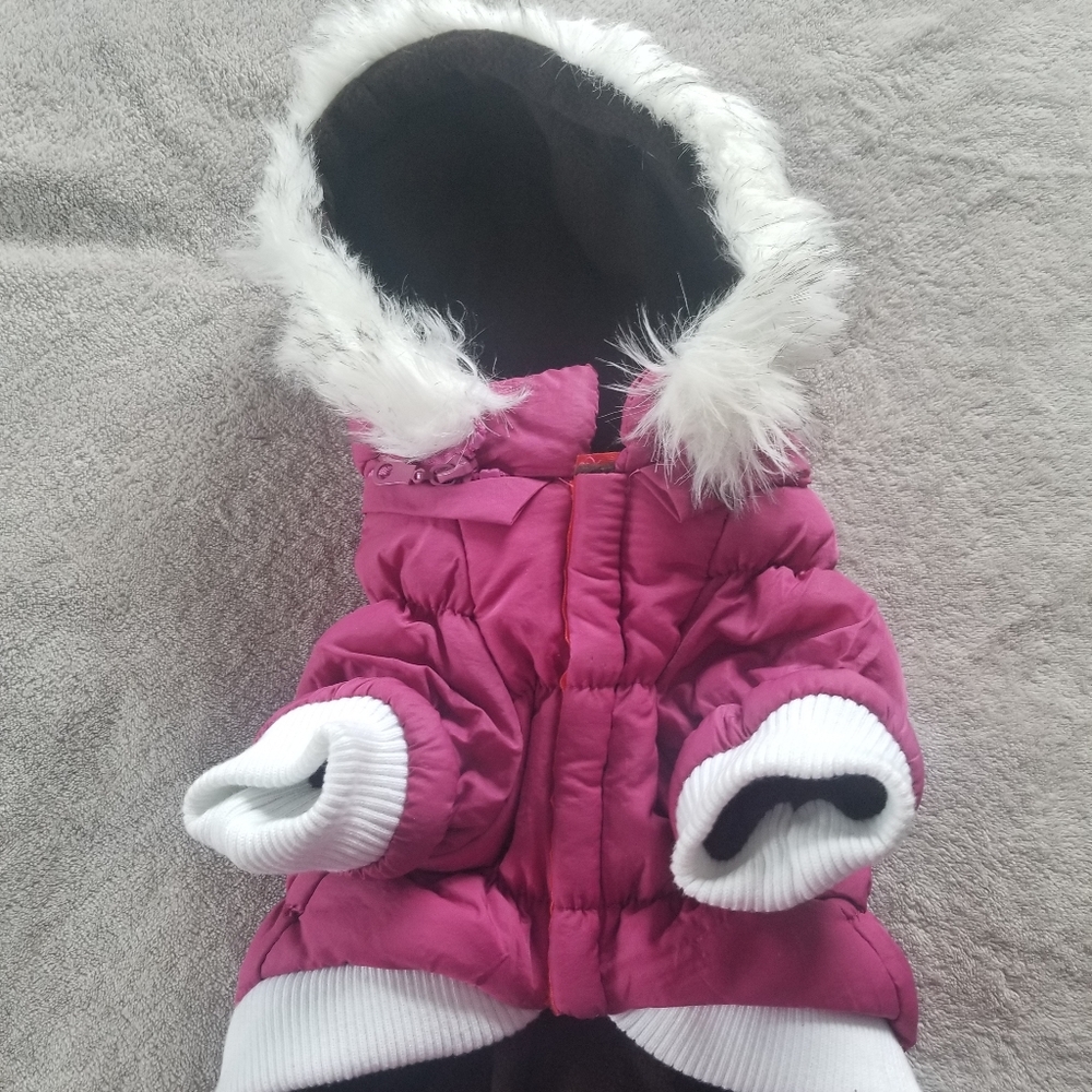 Doggy Winter Coat